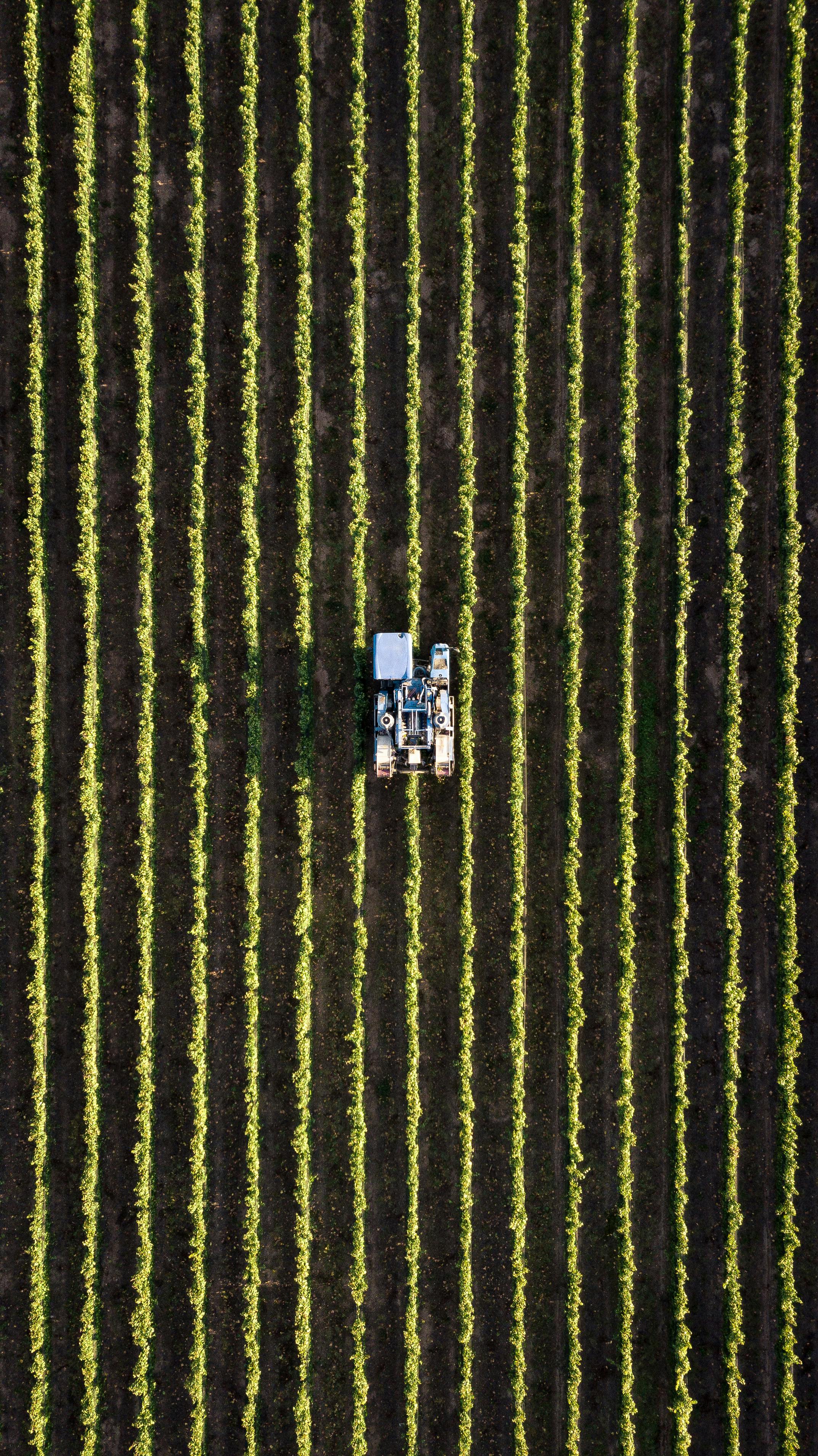 Aerial view of a tractor working in symmetrical crop rows on a Florida farm, representing efficiency and fuel logistics for agricultural job sites.